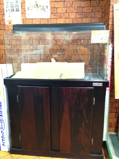 マーフィードの水槽台